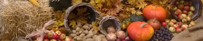 Erntedank 2015 Bild 1